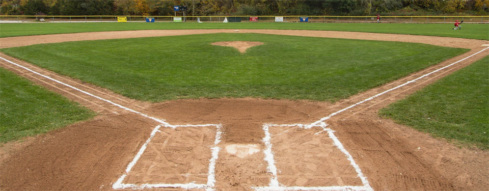 Baseball is Back!