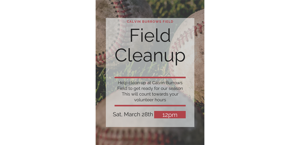 Field Clean up day